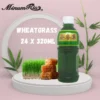 ead4db95f490572f17cd4b4ba80944ae.webp Minumria Wheat Grass